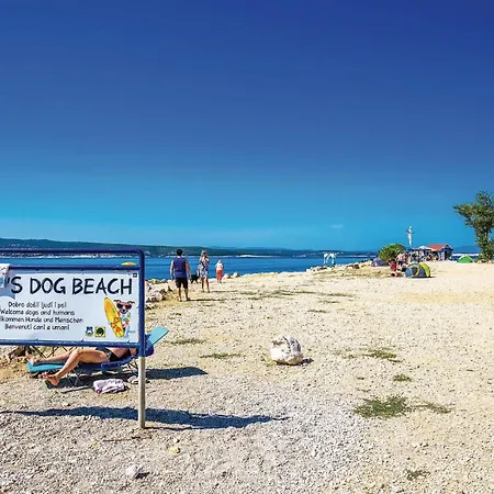 Apartamento Cozy In With Wifi